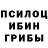 Псилоцибиновые грибы Magic Shrooms indiufa indiufa