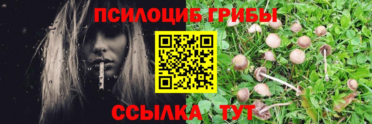 Псилоцибиновые грибы прущие грибы Салават